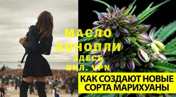 2c-b Коряжма
