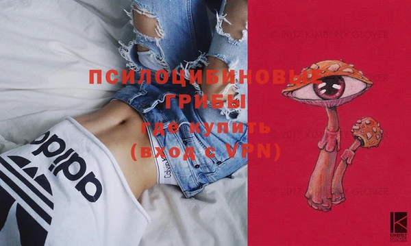 2c-b Коряжма